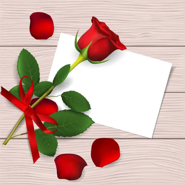 Vector illustration of Realistic red rose
