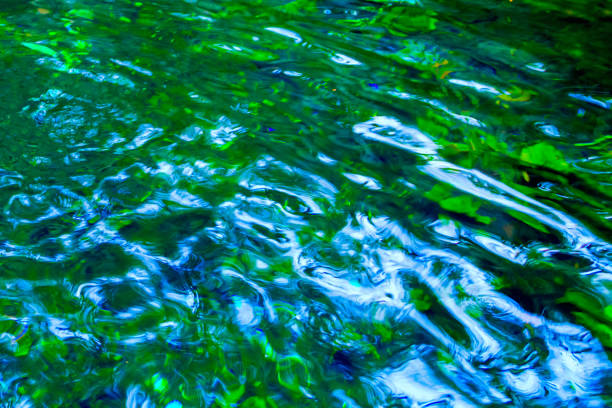 istock Green water lake, an abstraction. Mexico 881772684