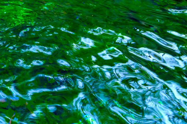 istock Green water lake, an abstraction. Mexico 881775460