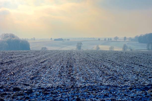 istock frozen farmland and trees on cold hazy winter 881775476