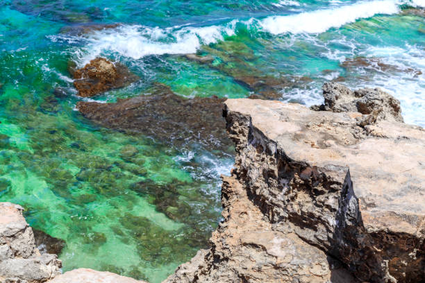 istock Caribbean sea. Blue sky. Isla mujeres 881780658