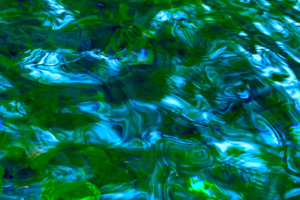 istock Green water lake, an abstraction. Mexico 881781188