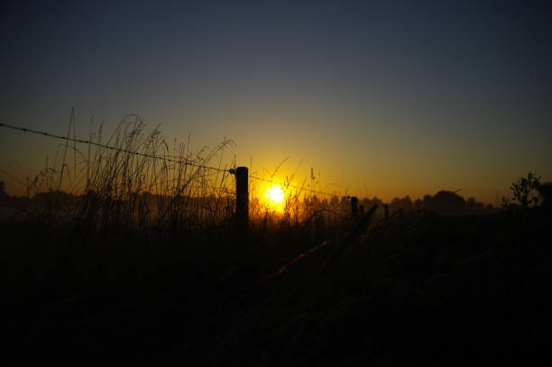 istock Sunrise in the country 881787304