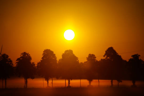 Sunrise variations in the country on a misty summer morning