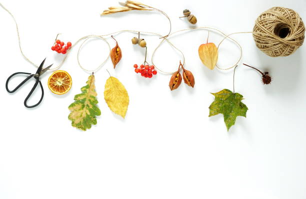 istock Autumn composition. Frame made of autumn maple tree leaves and cones on white background. Top view. Copy space. F 881800524