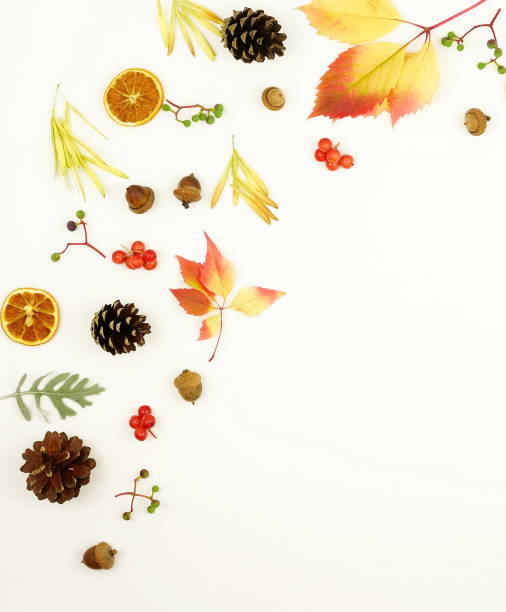 istock Autumn composition. Frame made of autumn maple tree leaves and cones on white background. Top view. Copy space. F 881802036