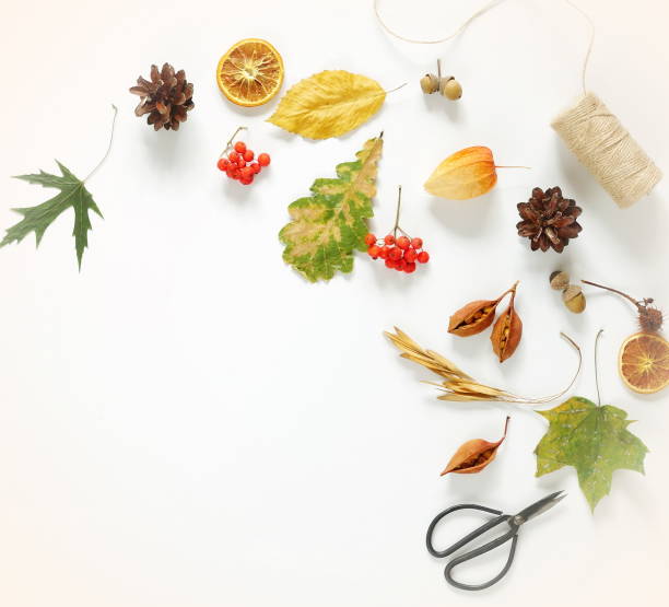 istock Autumn composition. Frame made of autumn maple tree leaves and cones on white background. Top view. Copy space. F 881802310