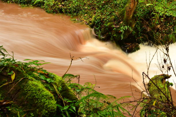 istock A rainy, wet, autumn day 881804076