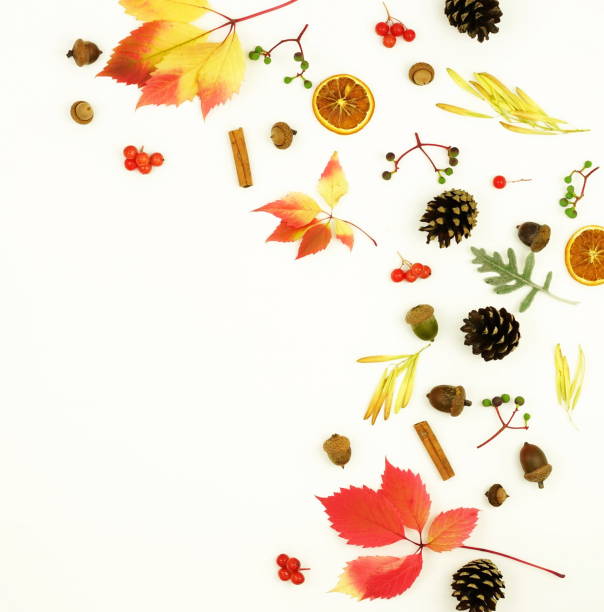 istock Autumn composition. Frame made of autumn maple tree leaves and cones on white background. Top view. Copy space. F 881808340