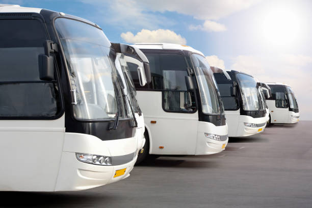 istock tourist buses on parking 881810218