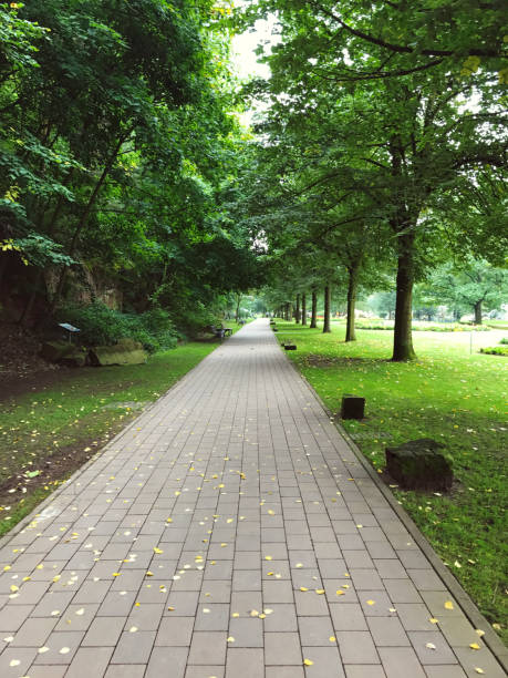 istock Straight paved walkway in urban summer park 881815032