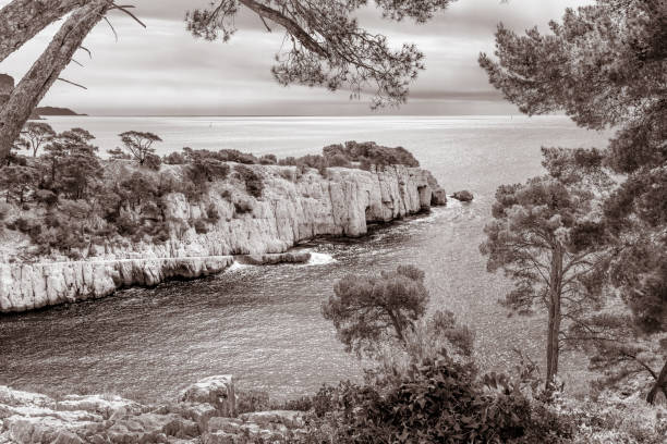 Warm sunlight shines on an orange-brown cliff next to a deep blue ocean. The cliff has a rough surface with small green plants. The sea is calm and peaceful, with gentle ripples. The strong contrast between land and water creates a dramatic and eye-catching scene. It also shows freedom, adventure, and peaceful solitude. This image is ideal for nature, travel, wellness, summer, and relaxation themes.