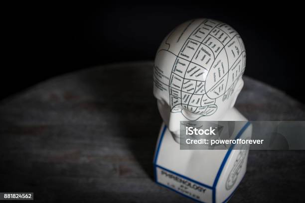 Phrenology Head Stock Photo - Download Image Now - Antique, Cut Out, Medical Equipment