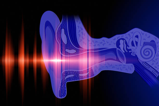 Hear the sound wave Conceptual image about human hearing ear canal stock pictures, royalty-free photos & images