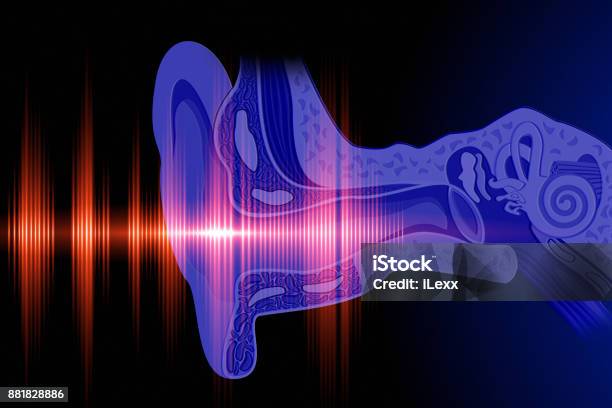 Hear The Sound Wave Stock Photo - Download Image Now - Ear Exam, Inner Ear, Ear