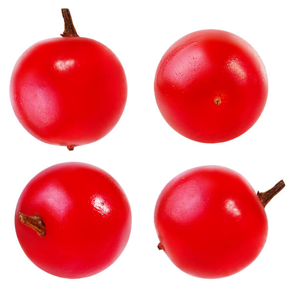 istock Red berries of Viburnum (arrow wood) isolated on white 881845272