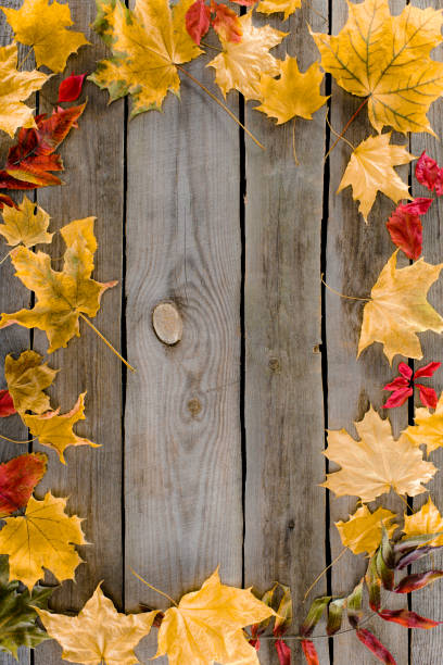 istock frame of autumn leaves 881848930