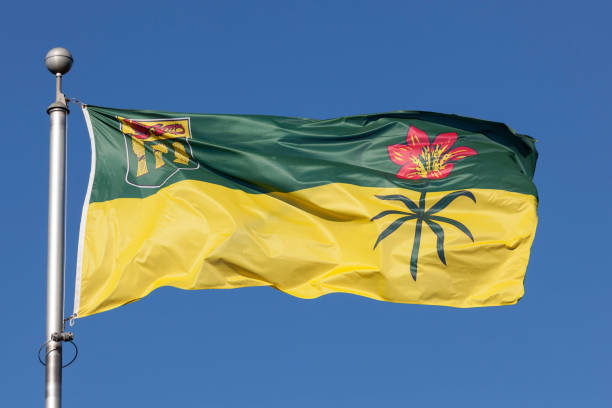 flagge von saskatchewan, kanada - saskatchewan stock-fotos und bilder