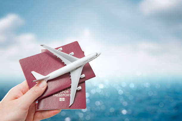istock passport flight fly travelling travel citizenship concept 881849580