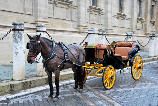 Carriage for tourists on the streets of Vienna.
