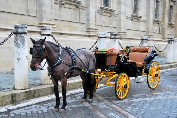 Photo of Horse carriage 3