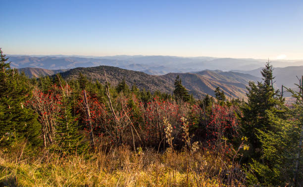 Great Smoky Mountains Panorama Landscape As Seen From The Overlook At Clingmans Dome In The Great Smoky Mountains National Park In Gatlinburg, Tennessee. View from the Clingmans Dome overlook of the mountain peaks and ridges of the Great Smoky Mountains National Park on the border of Tennessee and North Carolina. newfound gap stock pictures, royalty-free photos & images