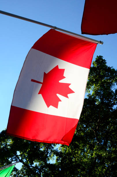 istock Canadian Flag Blowing in the Wind 881860988