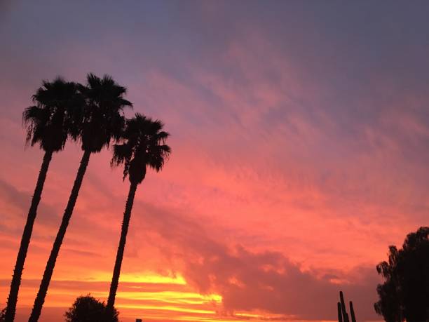 istock Blazing sunrise - landscape 881861300