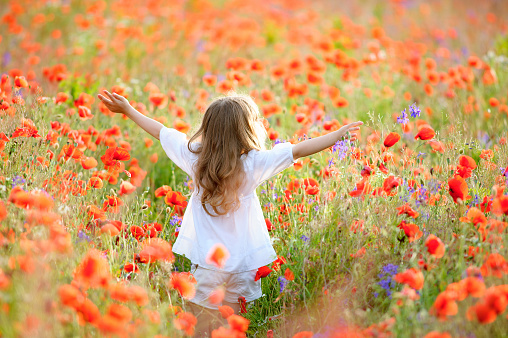 happy little kid girl with her arms to the sky at the blooming poppy field