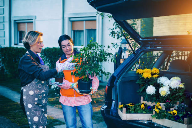 istock Gardening is my passion! 881865212