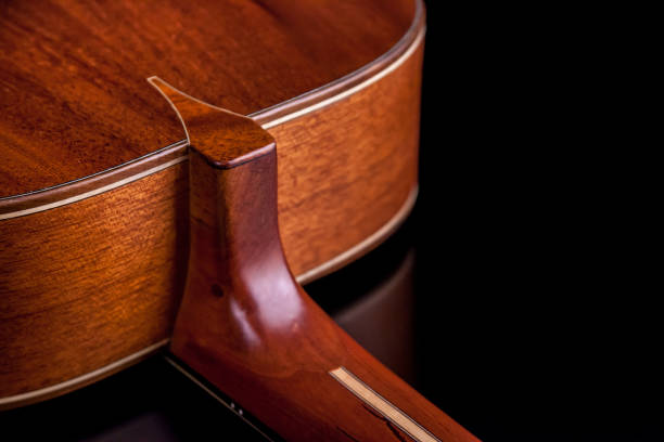 istock Twelve strings steel guitar made by luthier Luciano Queiroz 881872538