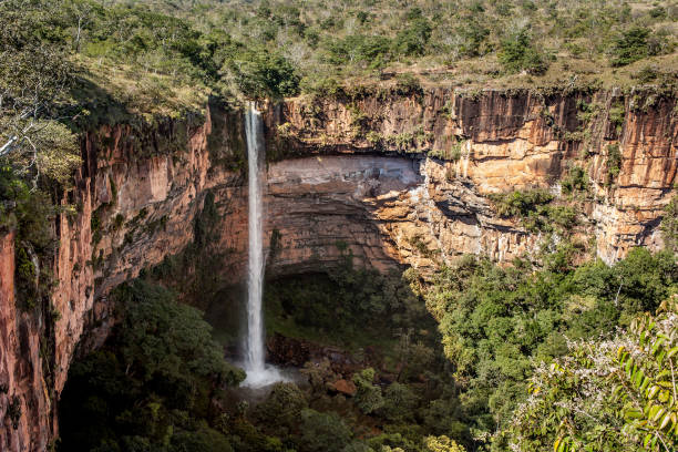 istock Veu de Noiva Fall at Chapada dos Guimaraes - Mato Grosso - Brazil 881872630