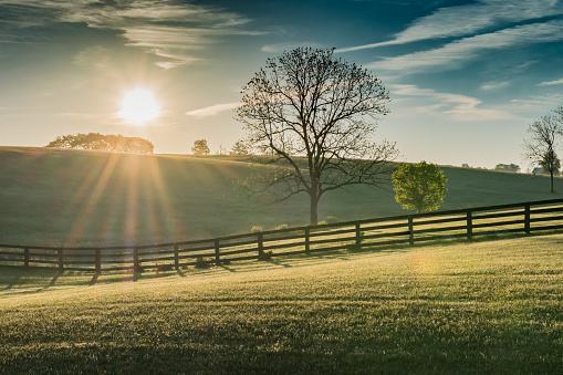 Sun Shines Over Rolling Kentucky Field at Dawn