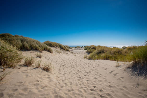istock Footsteps Cover Sandy Dunes 881885858