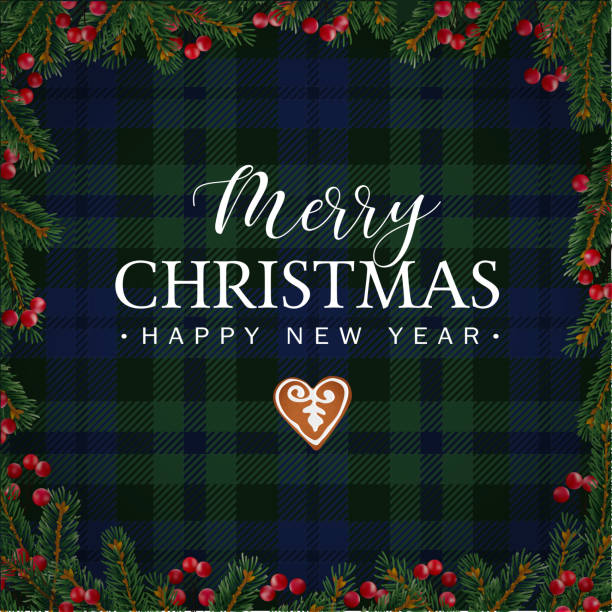ilustrações de stock, clip art, desenhos animados e ícones de merry christmas greeting card, invitation with christmas tree branches, red berries border and gingerbread cookie. white text over tartan checkered plaid, vector illustration background - plaid tartan scottish culture celtic culture
