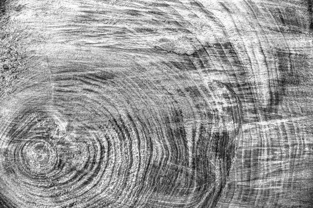 ウッド テクスチャ背景、木の皮をクローズ アップ。グランジ テクスチャ医療イメージ - wood tree textured wood grain ストックフォトと画像