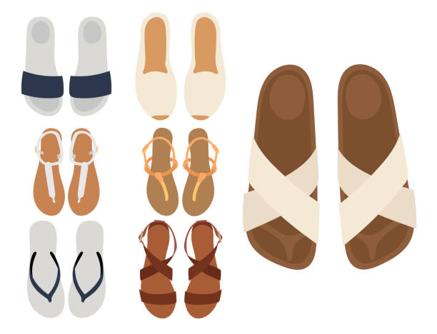 тапочки вектор пляж летом разноцветные женские тапочки изолированы на белом случайных дизайн пары летней обуви - sandal stock illustrations