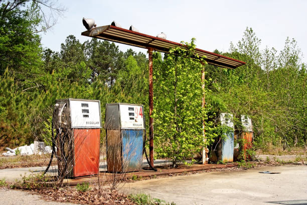 Abandoned service station pumps covered with vines. Horizontal.