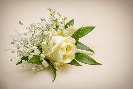 Cream rose buttonhole with green leaves and gypsophila