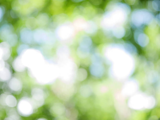 istock Beautiful green bokeh background 881892922