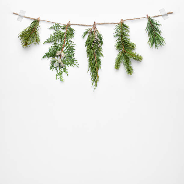 istock Christmas tree branches on white background. Flat lay, top view, copy space. Christmas concept. 881897302