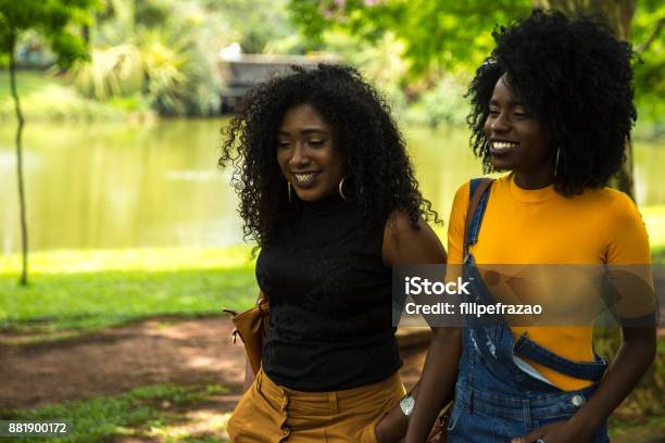 Afro Abstieg Mädchen Die Eine Tolle Zeit Zusammen Im Park Stockfoto und mehr Bilder von Afrika