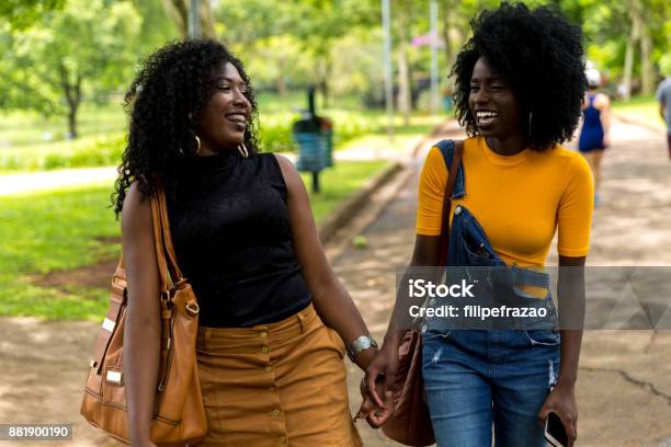 Afro Abstieg Mädchen Die Eine Tolle Zeit Zusammen Im Park Stockfoto und mehr Bilder von Afrika