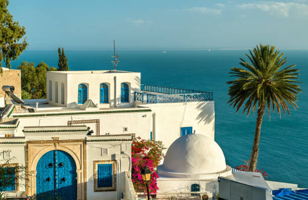 Traditional blue and white houses in Sidi Bou Said, Tunisia