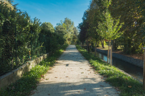 Path in a park with leaves and trees, clear sky
