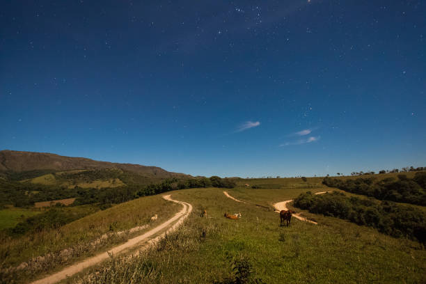 istock Serra da Canastra National Park at moonlight - Minas Gerais State - Brazil 881902250
