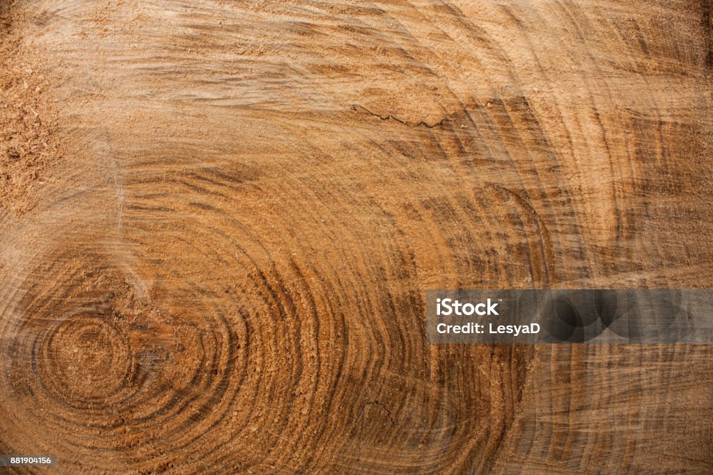 Wood texture background, wooden bark close up. Grunge textured image Wood texture background, wooden bark close up. Grunge textured image. Wood Grain Stock Photo