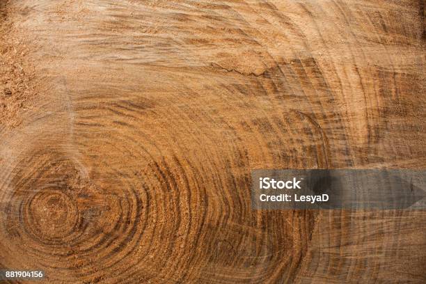 Wood Texture Background Wooden Bark Close Up Grunge Textured Image Stock Photo - Download Image Now