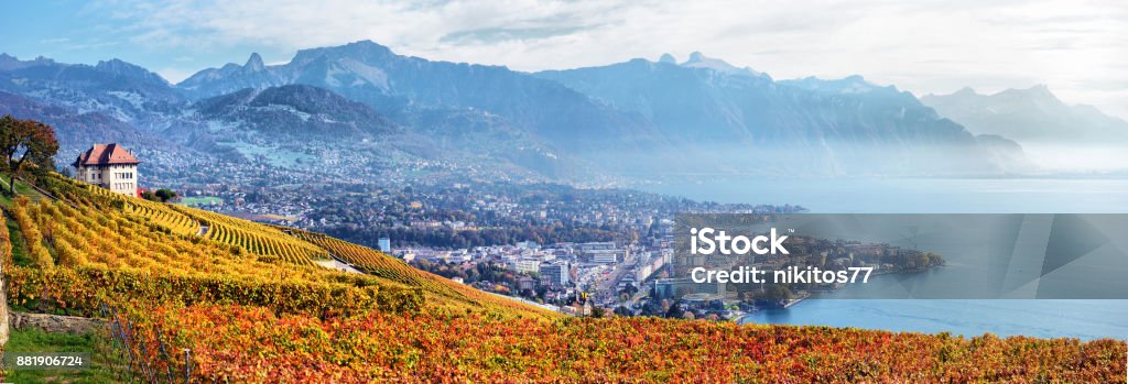 panorama of autumn vineyards in Switzerland View on Lavaux region by autumn day, Vaud Switzerland Stock Photo
