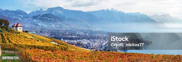 Panorama Of Autumn Vineyards In Switzerland View On Lavaux Region By Autumn Day Vaud Stock Photo - Download Image Now